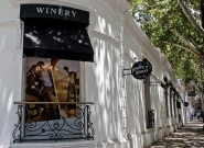 Winery Mendoza